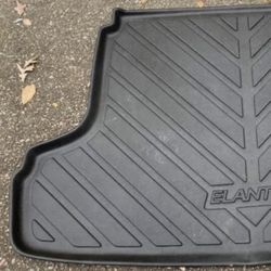 Hyundai Elantra Water Mat Protector