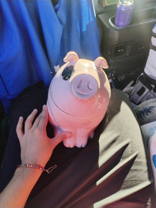 Decoration Pig/ Storage Container