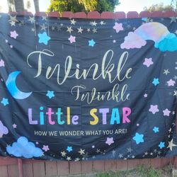 BABY GENDER REVEAL DECORATION