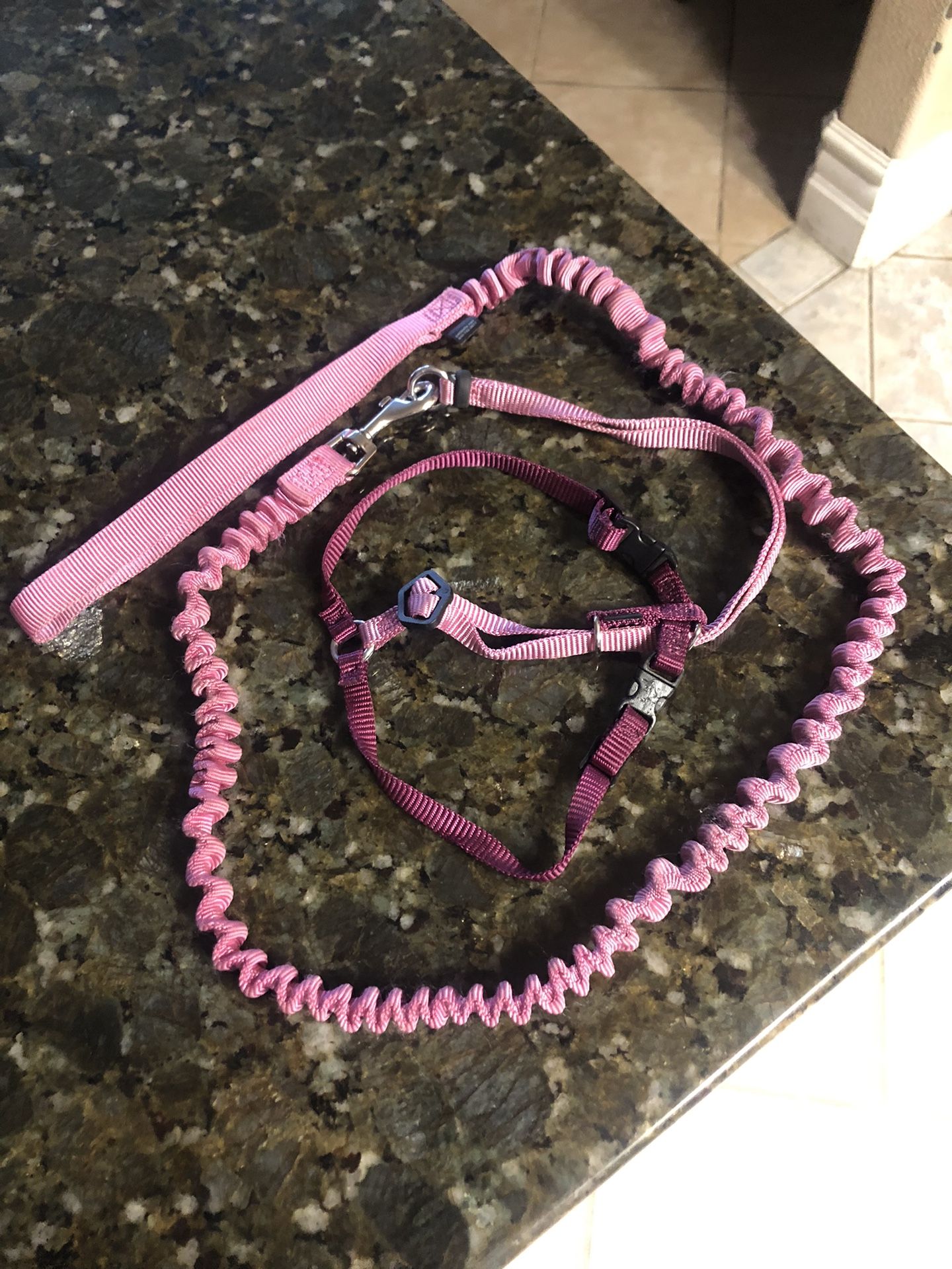 Collar Y Correa Rosa