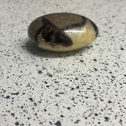 Polished Septarian Palm Stone (“Dragon Stone”)