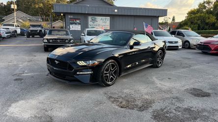 2019 Ford Mustang