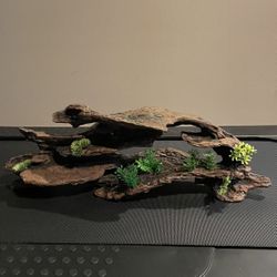 Aquarium Decorations