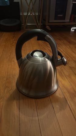 Stainless steel tea kettle