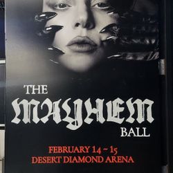 Lady Gaga Genuine Concert Graphics