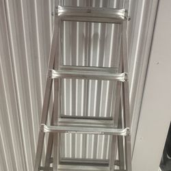 Werner Ladder
