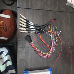 2025 Ford Raptor Headunit Interface