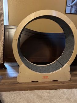 Cat exercise wheel