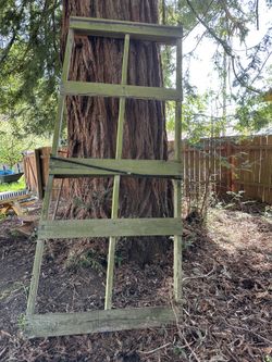 Free Extra Large Pallet