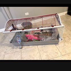 Guinea Pig/bunny Cage 