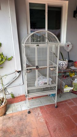 Bird Cage