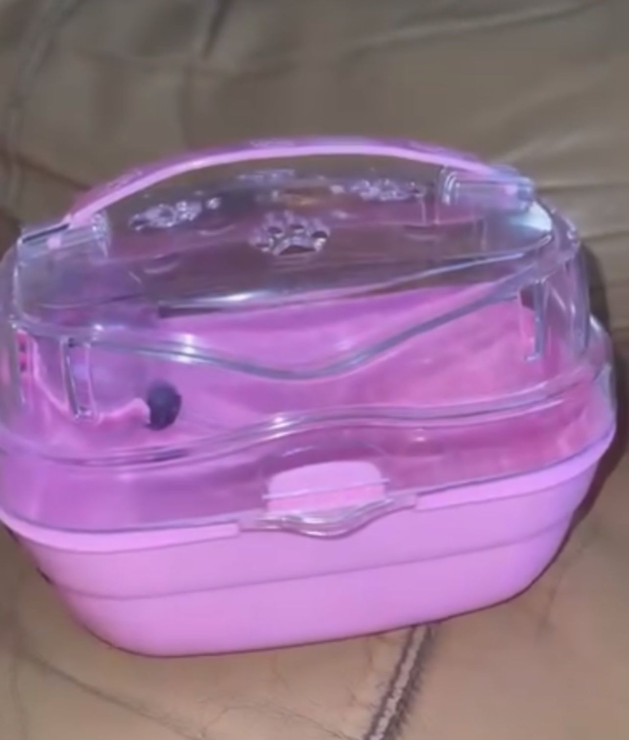 Portable Carrier For Hamster
