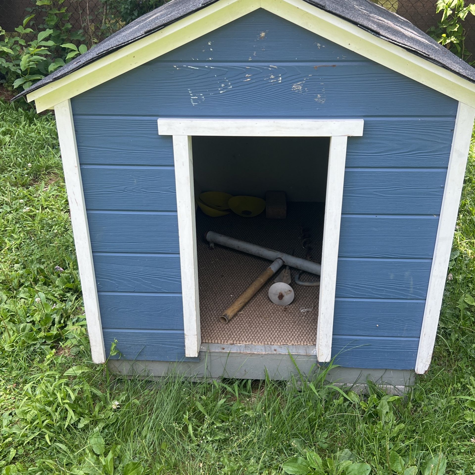 Dog House 