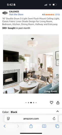 Brand New Ceiling Light