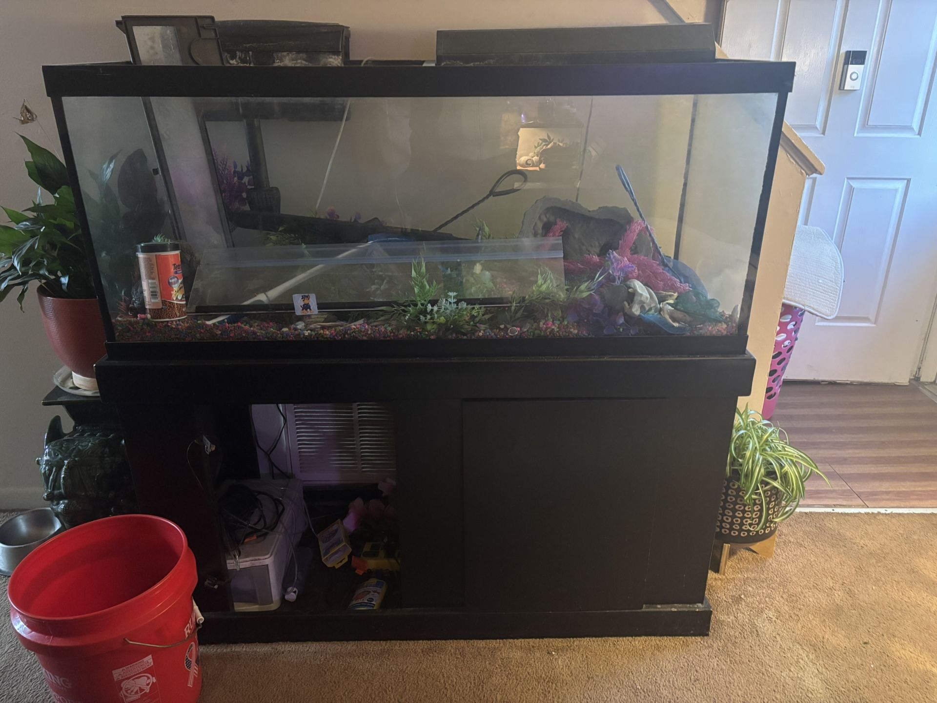 Aquarium Fish Tank