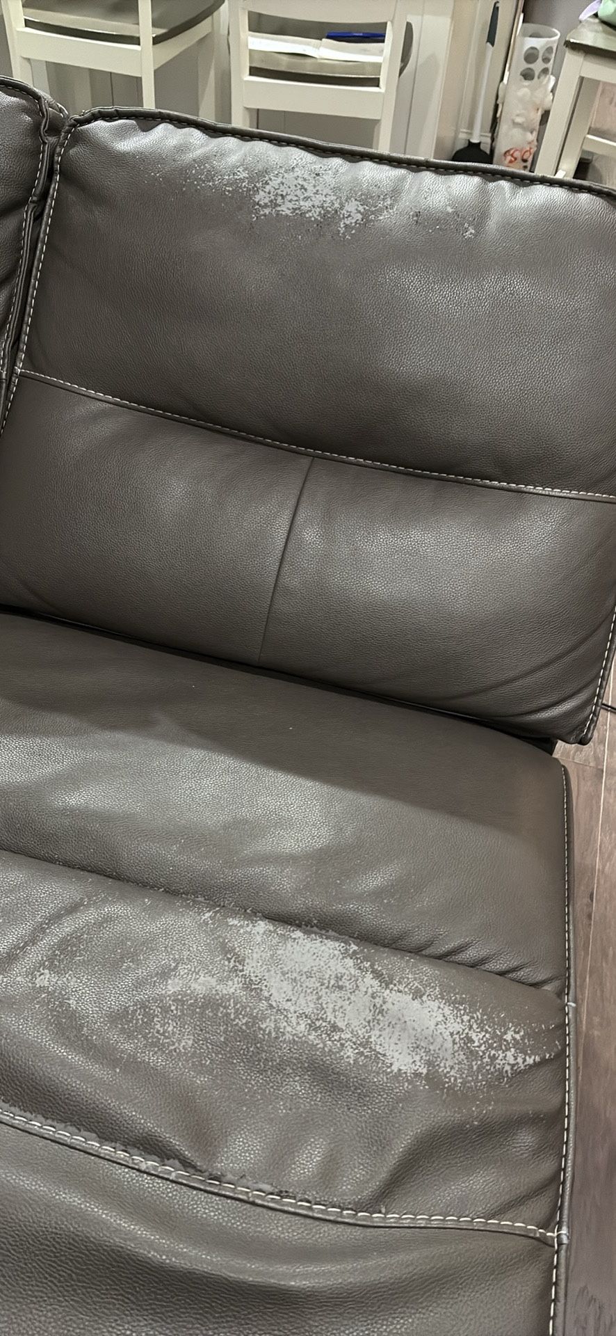 Recycling Sectional Sofa (2 Piece)