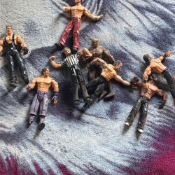 Action Figure Wrestlers “ Not Free “