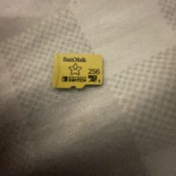 Nintendo Switch 256g Sd Card 