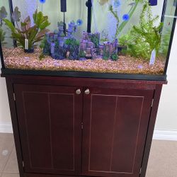 30 Gallon Fish Tank 