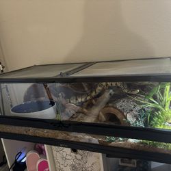 3 Ft Snake Cage With Accessories 
