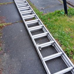 Aluminum Werner Ladder