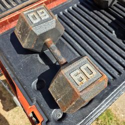 60lb dumbbell single