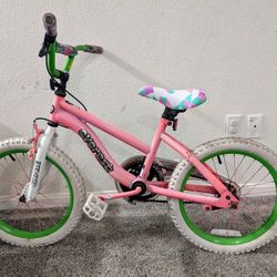 Everest Misty 18" Kids Bike

Good Condition!
