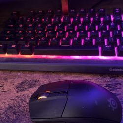 Steel Series Keyboard And Mouse