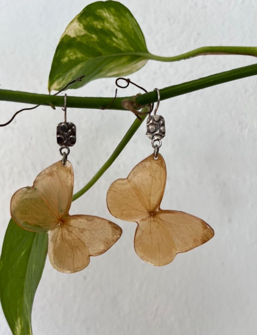 One of a kind set of real butterfly earrings with sterling silver accents. 