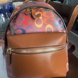 Beautiful Back pack New!