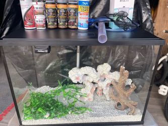 25 gallon aquarium
