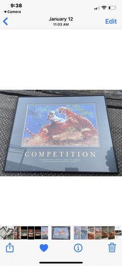 “COMPETITION” ART WORK PRINT FRAMED 