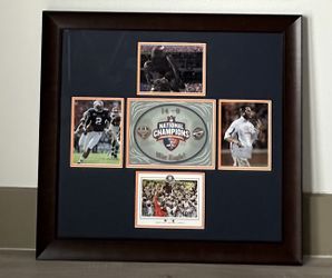 Auburn Tigers 2010 National Championship