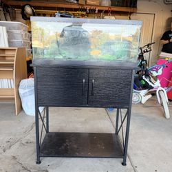 20 Long Fish Aquarium W/Stand, Filter 