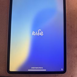 iPad Pro 11inch (512 GB)