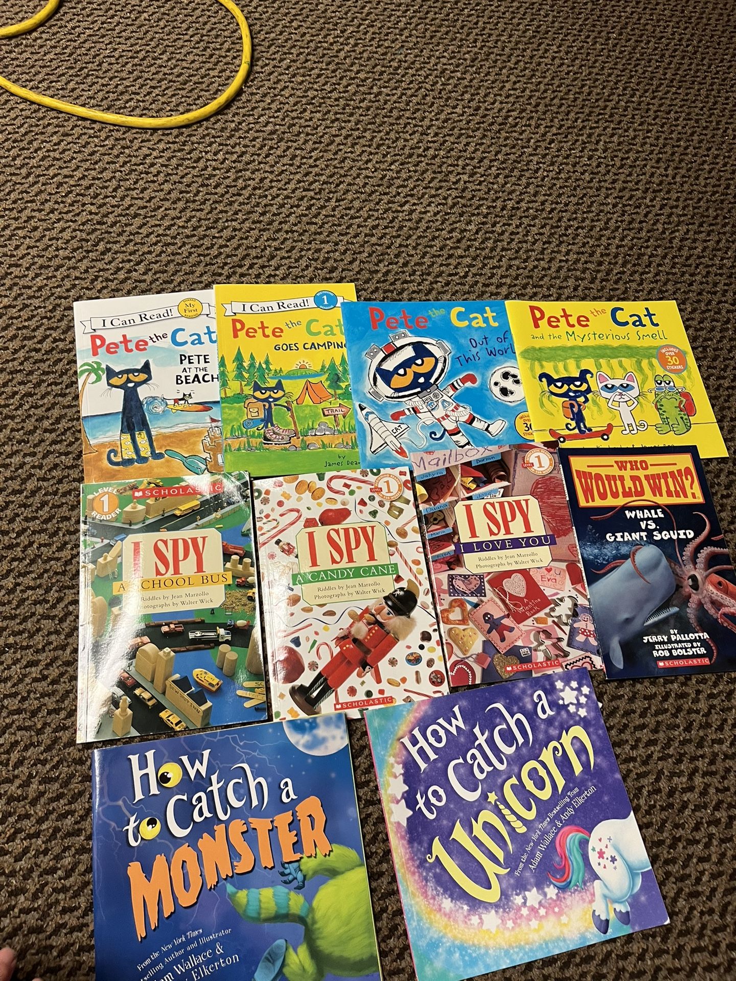 20 Books - Pete The Cat, I Spy Books,how To Catch Etc