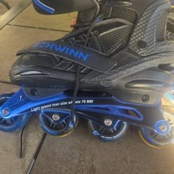 Schwinn Roller Blades