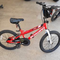Schwinn Bike