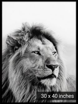 LION OFFICE PICTURE WALL DECOR 30x40