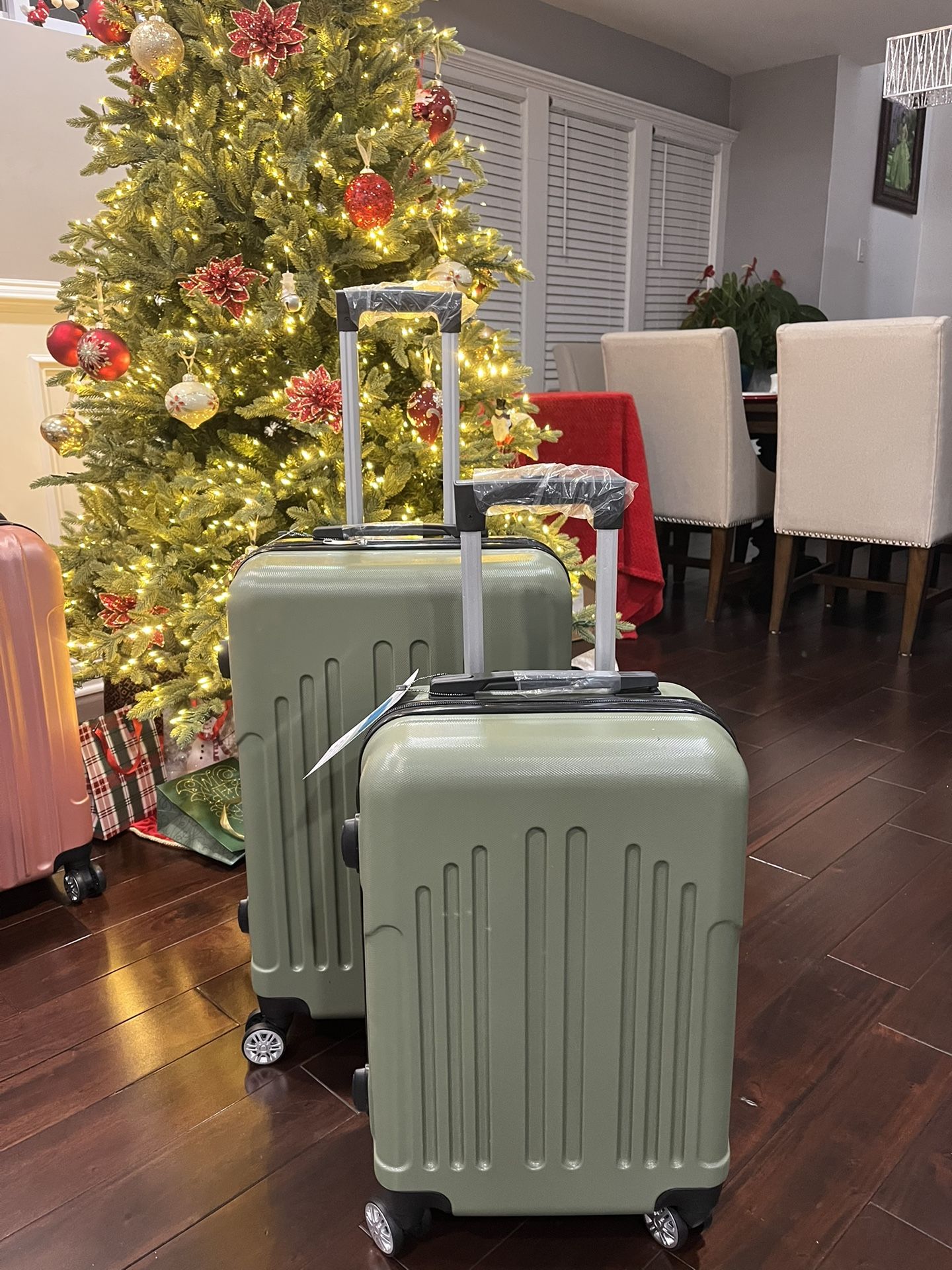 Medium checked Luggage 24β & Carry On 20β