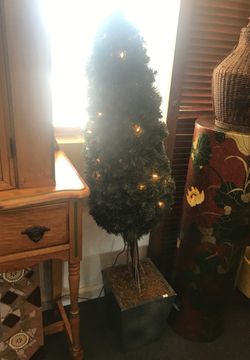 Light up topiary tree