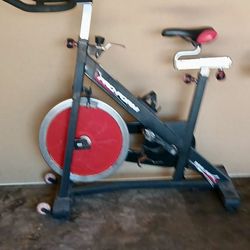 Pro Form 290 SPX Spin Bike