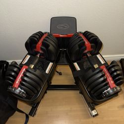 BowFlex adjustable Dumbbells 