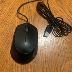 Computer Mouse