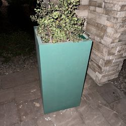 3 Matching Concrete Planters In Excellent Condition 