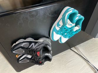 New balance/Nike dunks
