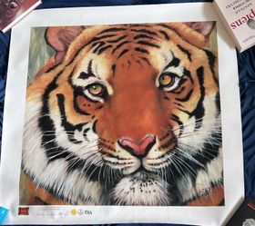 Clancy Cherry Tiger Eyes Giclee Canvas Print IGI 29/500 31x31