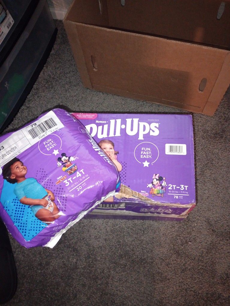Pill Ups Bundle 2t-3t/3t-4t Diapers