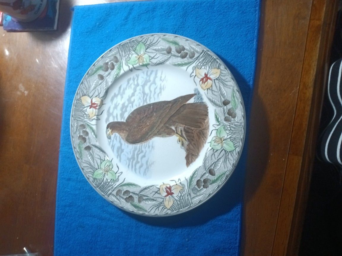 The Birds Of America  Plate