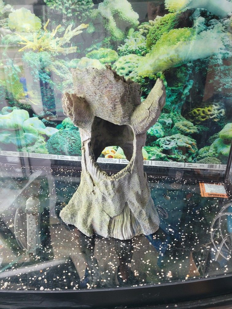Aquarium Decor